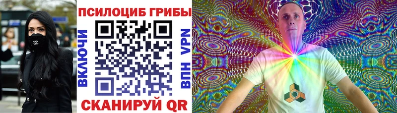 Псилоцибиновые грибы Psilocybe  Старая Купавна 